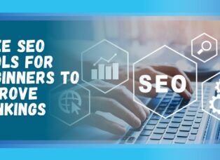 seo tools for beginner